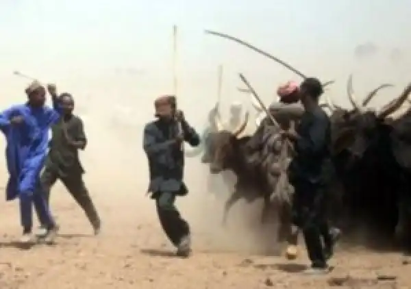 95 Killed As Suspected Fulani Gunmen Attack Benue Village