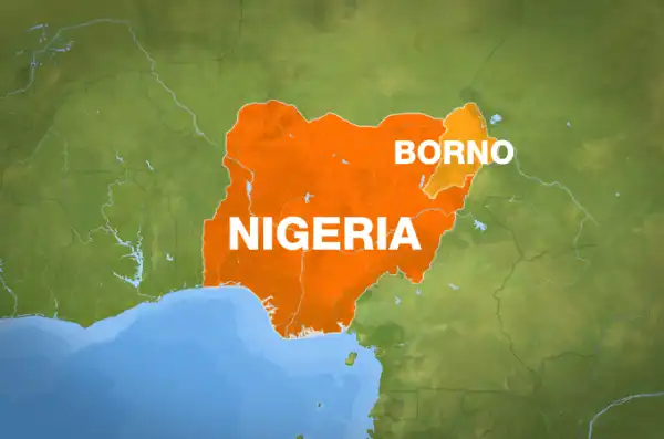 Borno Seeks Support As 126 Babies Are Delivered At IDPs Camps Daily