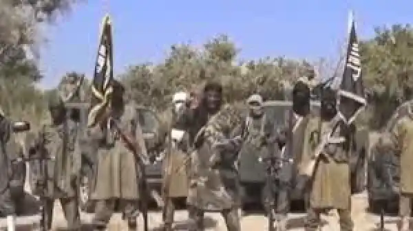 Full Transcript Of Shekau’s Speech On Ceasefire & Abducted Chibok Girls