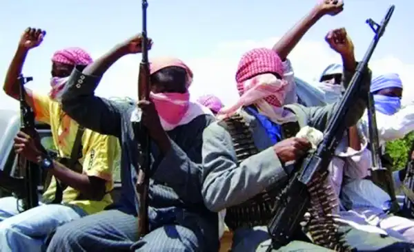 How Boko Haram murdered Borno pastor, by family
