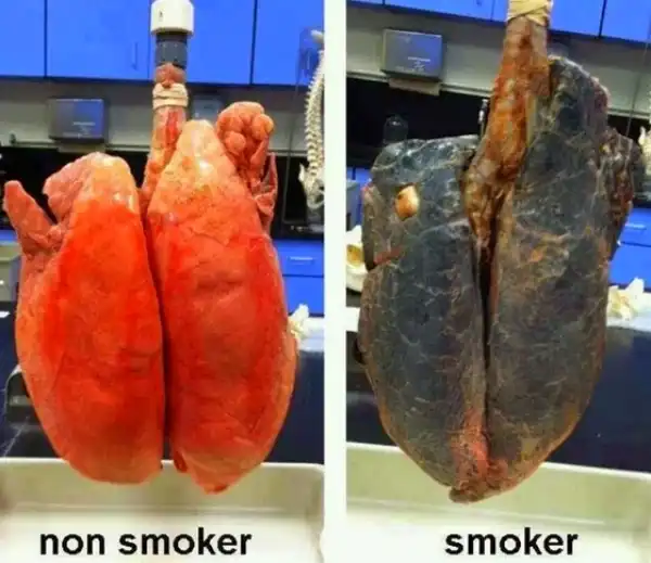 OMG! Could This Really Be True?