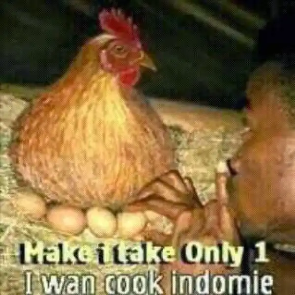 Photo Of The Day: The Thief and The Chicken