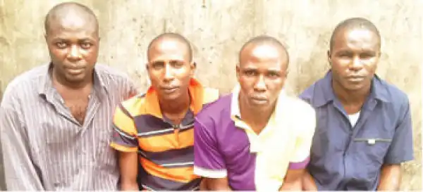 Police arrest commercial drivers for ‘one-chance’ robberies