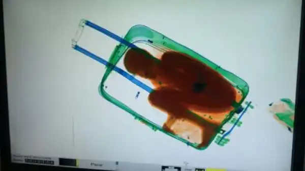 Woman Smuggles 8-Year-Old Boy To Spain