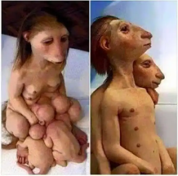 Wooow... See What I Found Online (Photos)