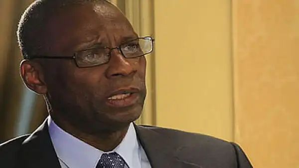 Petrol: Nigerians will pay more even with refineries – Chike-Obi