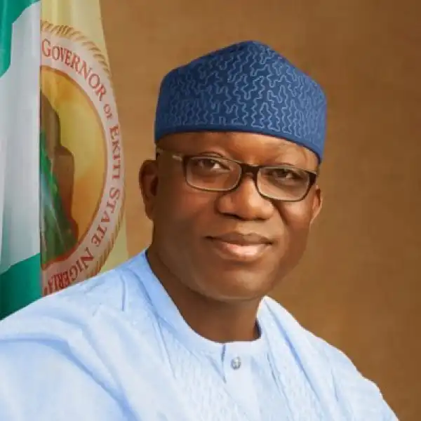 Biography & Career Of Kayode Fayemi
