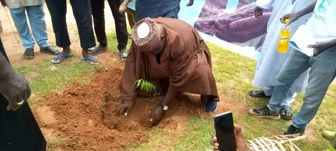 Group plants trees in Darazo to fight climate change, desertification