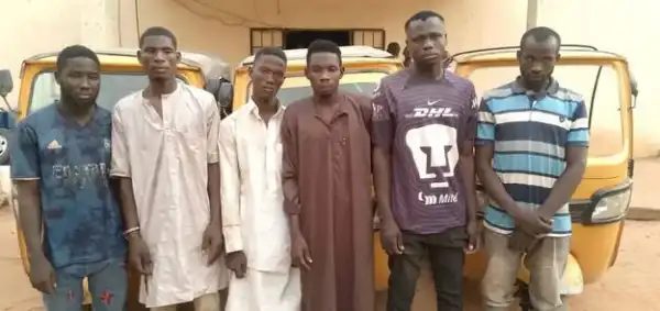Photo Of Six Men Who Were Nabbed For Receiving Stolen Tricycles In Adamawa