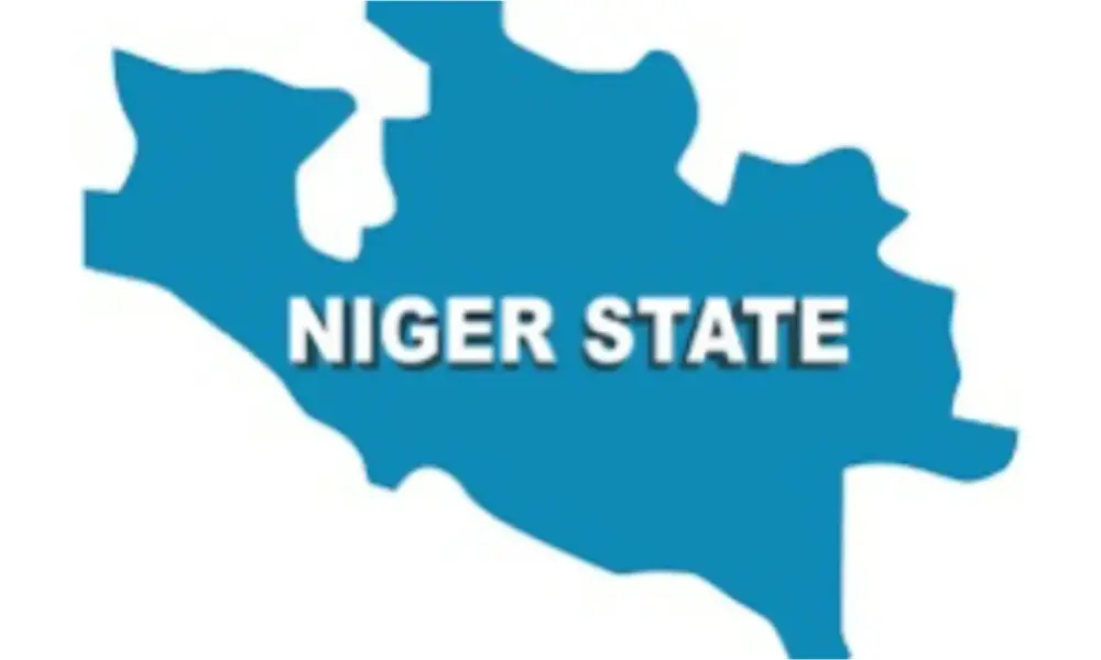Gunmen kill MOPOL officer, vigilante in Niger
