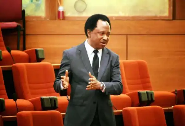 No Prophet Predicted Russia-Ukraine War -Shehu Sani