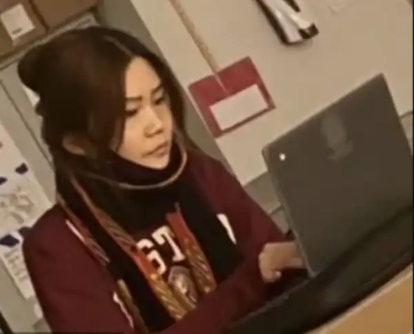 29-Year-Old Woman Charged After Posing As Teen And Attending High School