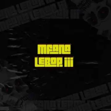 Mc’SkinZz SA – 325is