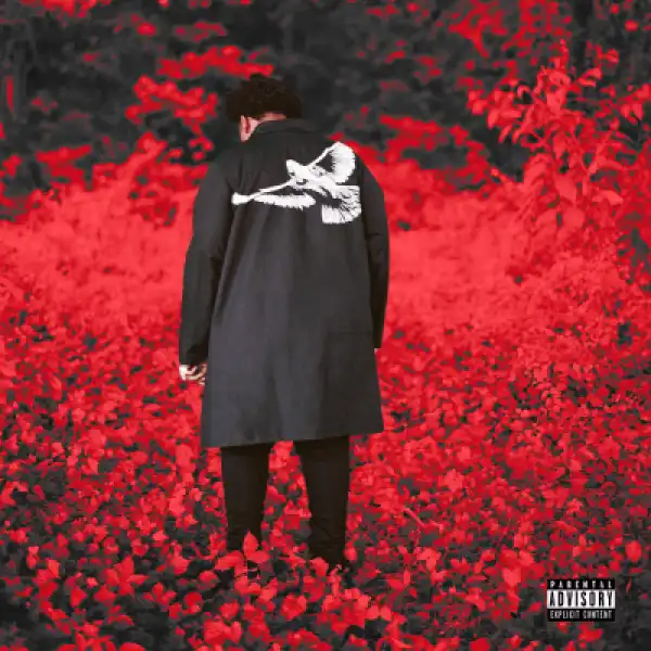 BIG30 – Celine Frames (Instrumental)