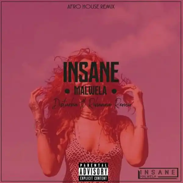 Rihanna – Disturbia (Insane Malwela’s Afro House Remix)