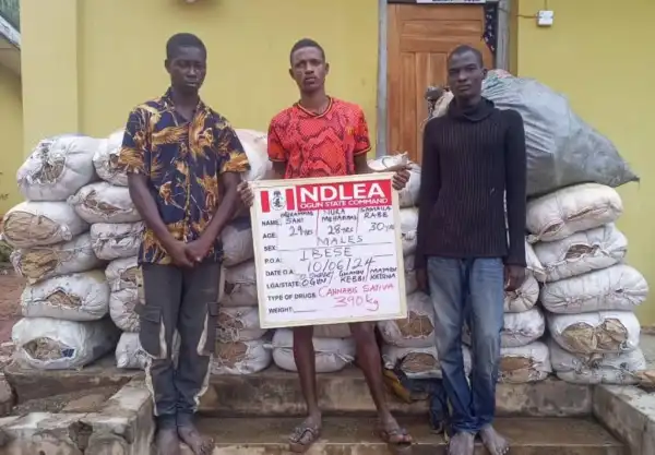 NDLEA bursts Lagos warehouse, seizes N4.7billion cocaine, meth, arrests siblings in Aba