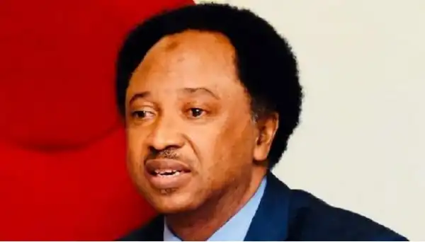 Buhari Destroyed Nigeria’s Economy, He’s Responsible For Current Hardship – Shehu Sani