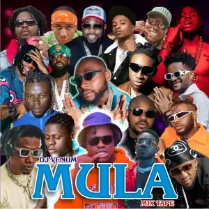 DJ Venum – Mula Mixtape