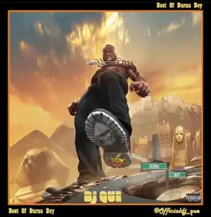 DJ Que Ft. Burna Boy – Best Of Burna Boy