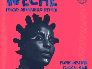 Punk Mbedzi, Euggy & Akoth Jumadi – Weche (Frigid Armadillo Remix)