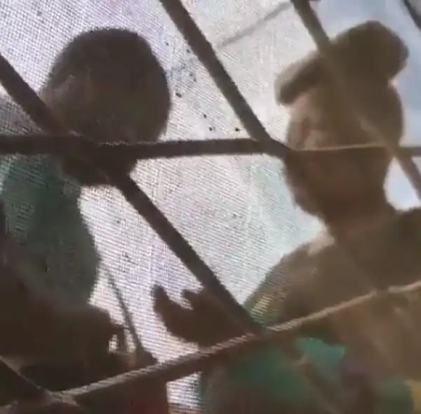 LOL! Nigerian mum seen praying over her daughter