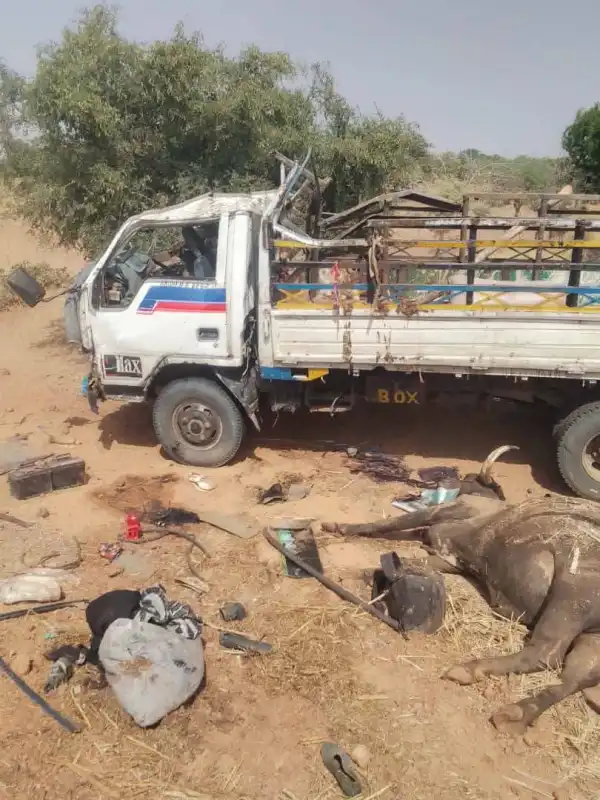 Two dead, 48 others injured in Yobe auto crash