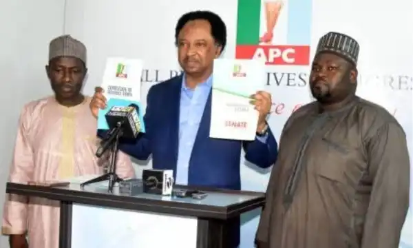 2027: Shehu Sani picks APC nomination form to return to Senate