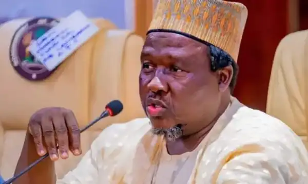 2027 presidency: Votes of opposition combined will be too small compared to APC – Masari