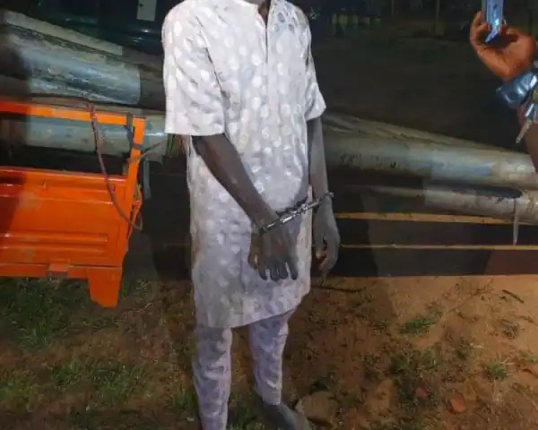 Two arrested in Adamawa over theft from Bamanga Tukur’s farm