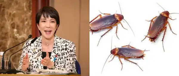 “I Felt Lonely”- Japanese PM Reveals Why She Missed Cockroaches After Staff Got Ride of Them