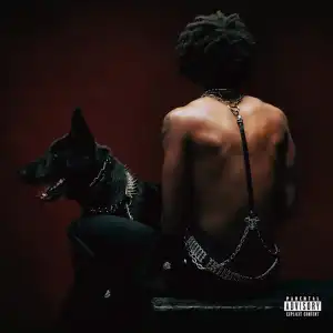 Hardrock – PAIN STRAIN