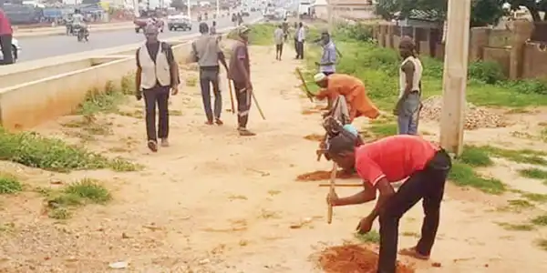 Groups advocate renewed interest in tree planting