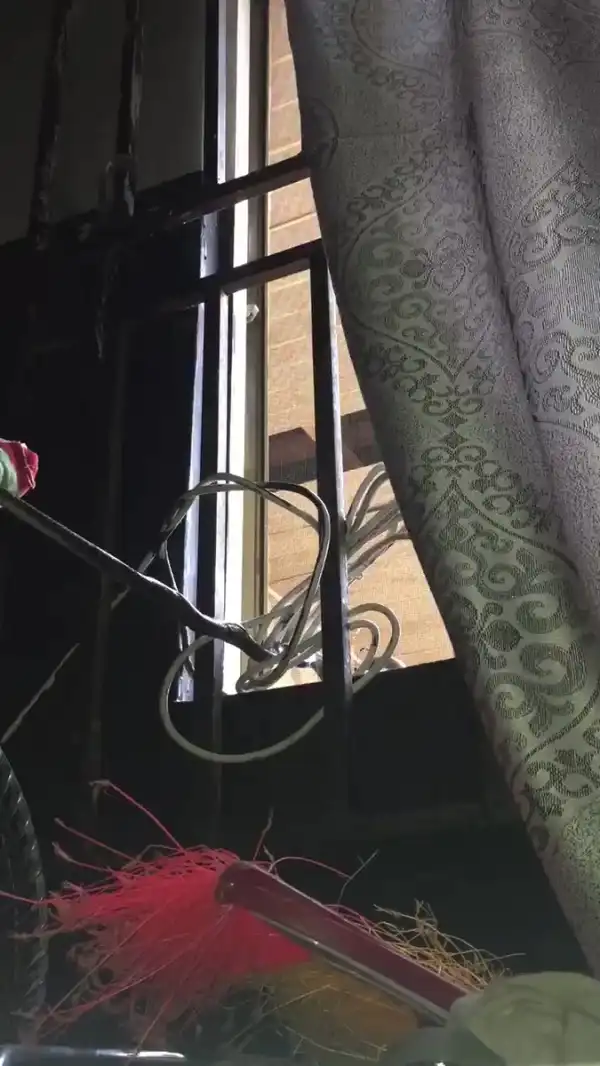 ”Shey them no tell you the house wey you enter” – Nigerian Man exchanges words with a snake he captured with his bare hands in his room (video)