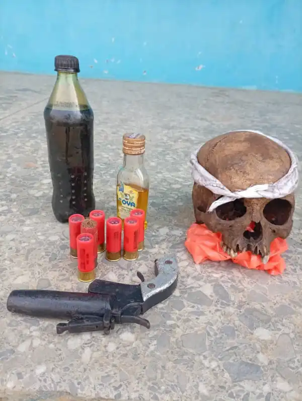 Akwa Ibom : Police arrest 7 suspects in cult-related assault, recover firearm, human skull