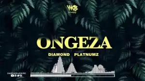 Diamond Platnumz – Ongeza