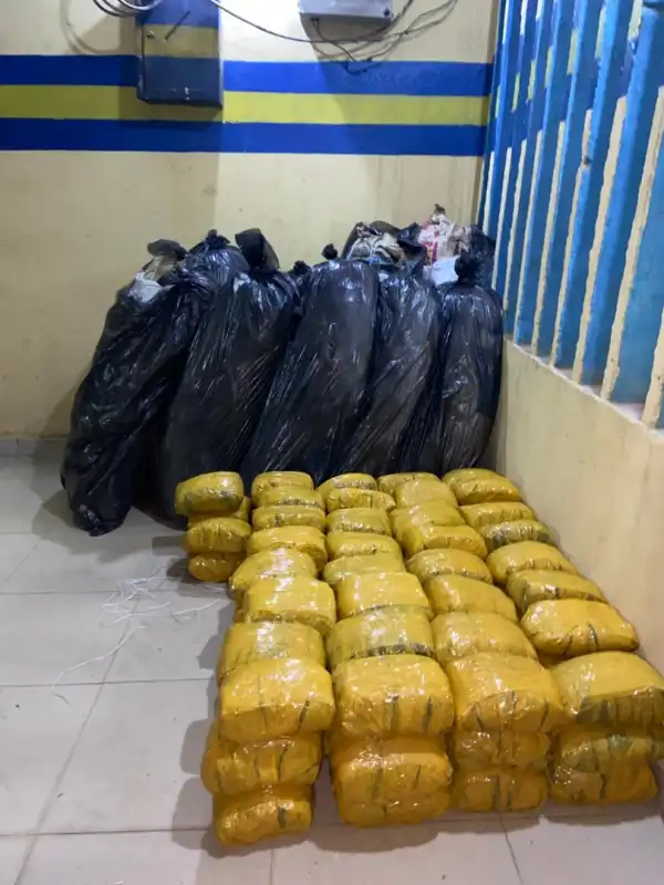 Oyo: Police seize 9 bags of Indian hemp, other illegal drugs
