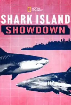 Shark Island Showdown (2026)