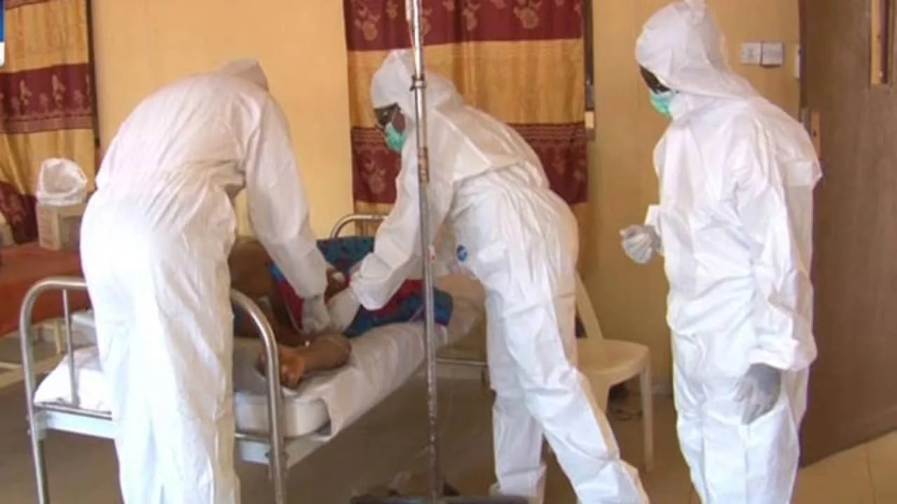 Lassa Fever kills 15 in Edo