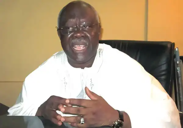 Ayu Behaved Like A Village Headmaster — Bode George Speaks