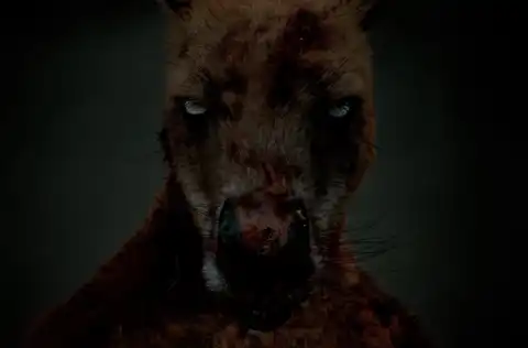 Rippy Trailer Previews Zombie Kangaroo Horror Movie