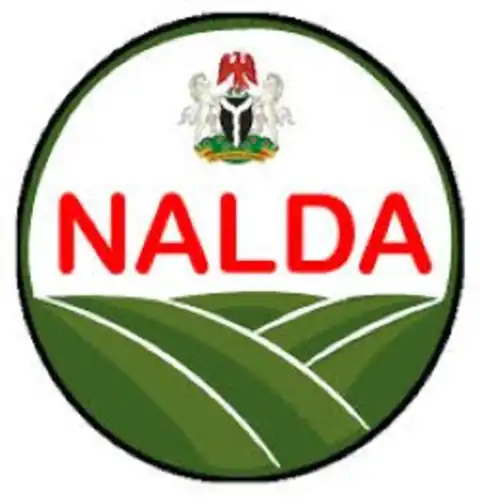 Forest reserves key to tackling insecurity – NALDA