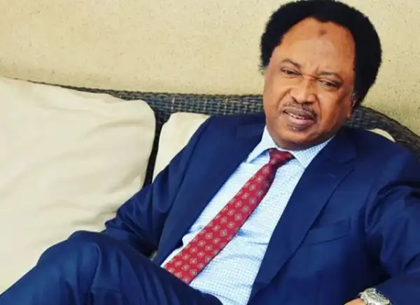 Tinubu Not Permitted To Move Federal Capital To Lagos – Shehu Sani