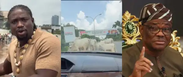 “Wike, Look At What They’ve Turned Abuja Into”- VeryDarkMan Reacts To Cows Grazing On Streets