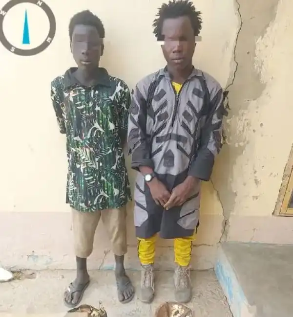 Two Boko Haram Bomb Experts Surrender In Borno