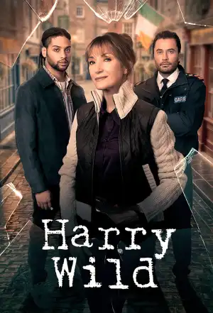 Harry Wild (2022 TV series)