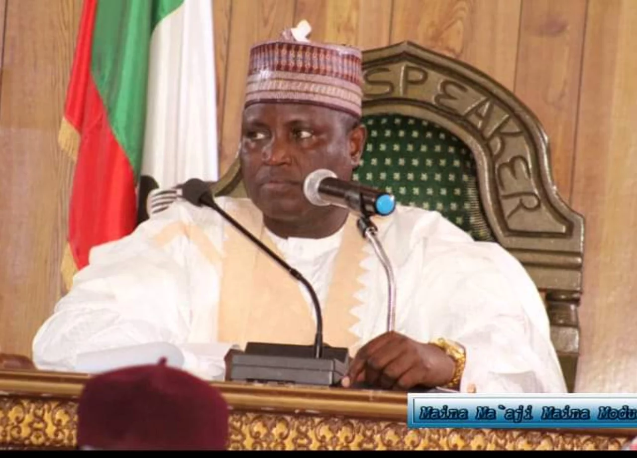 Borno Speaker protests missing Shettima photo at APC event