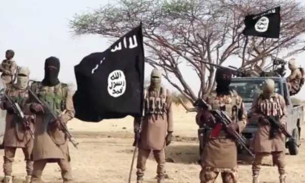 Boko Haram attack claims 11 lives in Adamawa