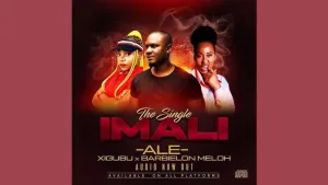 ALE – Imali Ft. Meloh Barbielon & Xigubu