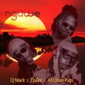 Q-Mark, TpZee & Afriikan Papi – Nguwe