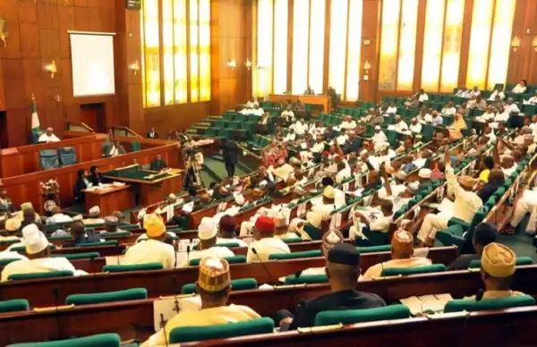2022 Budget: Reps Fear Economy Collapse, Says Debt Servicing Too High (Read Details)
